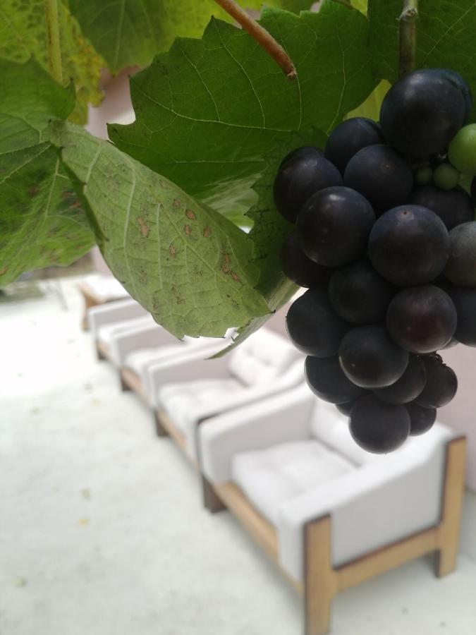 Uzicki-Konaci Apartman Užice Kültér fotó